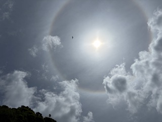５年　海の移動教室２日目④