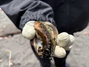 ５年　海の移動教室2日目③