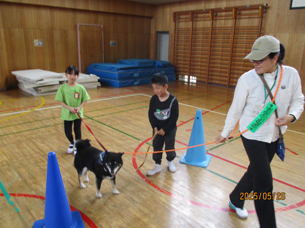 ワンちゃんたちと触れ合いました！